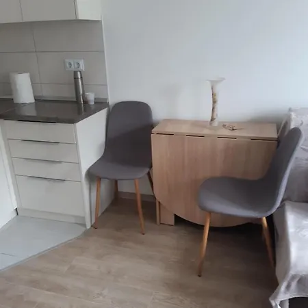 Sajic Apartamento *